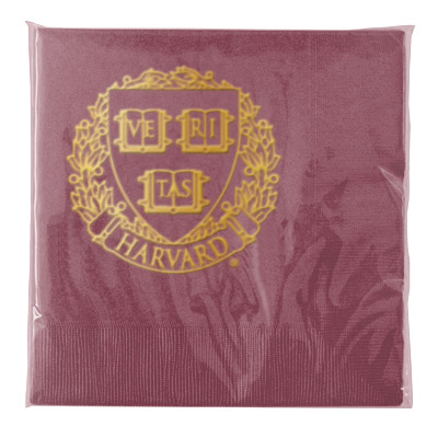 CS511_Burgundy