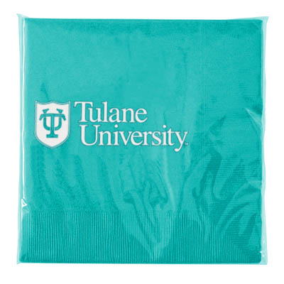 CS511_Teal