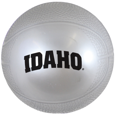 SG056_Metallic Silver