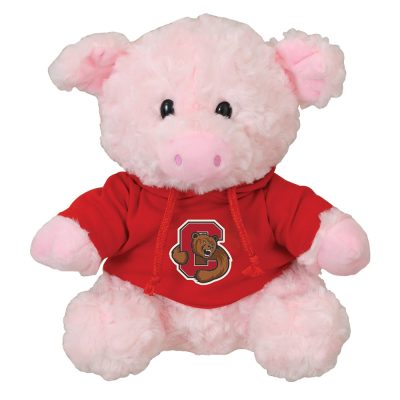 CC074_Pig
