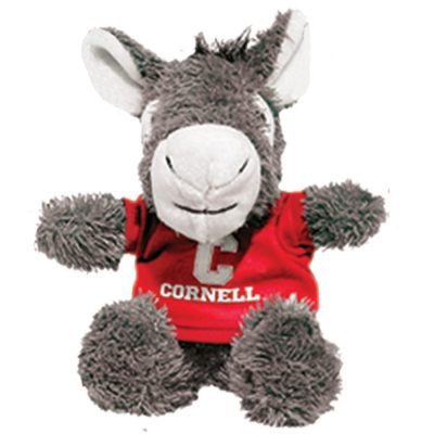 CC031_Donkey