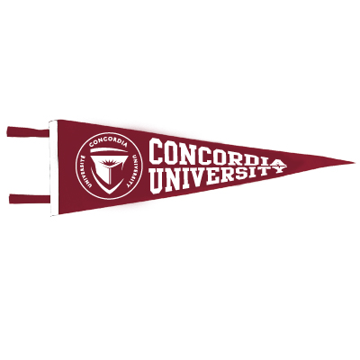 Standard Soft Felt 7" x 21" Pennant