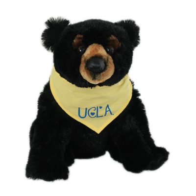 CC067_Black Bear