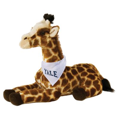 CC067_Giraffe
