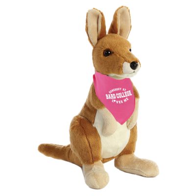 CC067_Kangaroo