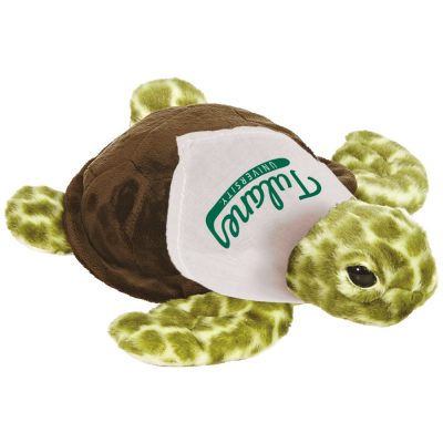 CC047_Turtle
