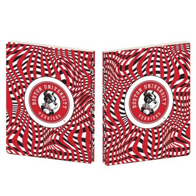 SS146_BOSTON UNIVERSITY