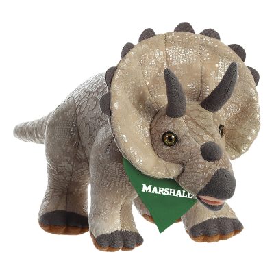 CC096_BROWN TRICERATOPS