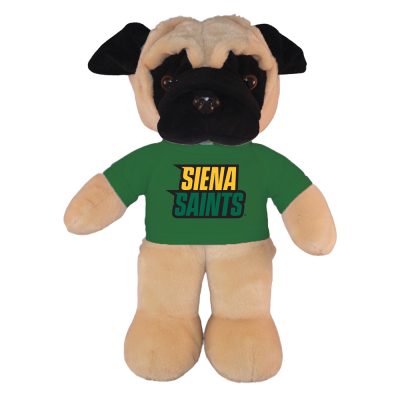 CC132_PUG