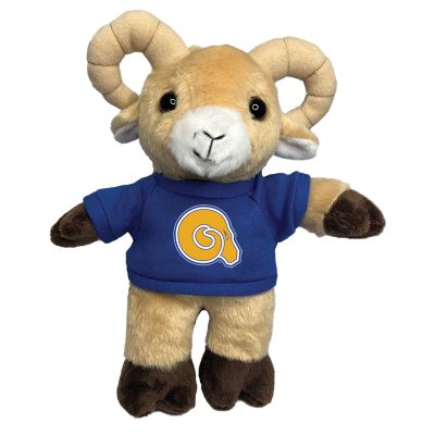 CC132_RAM