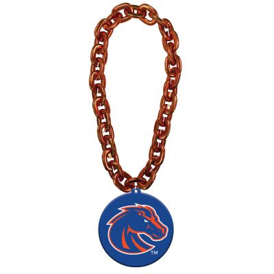 CS657_BOISESTATE_ORANGE