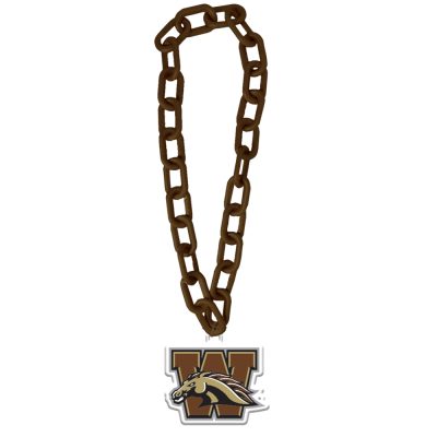 CS659_WESTERNMICHIGAN_BROWN