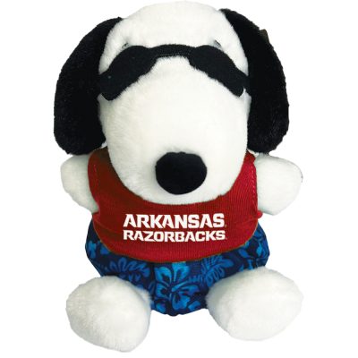 CC103 SURFER SNOOPY SP0006