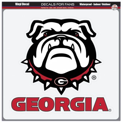 Large Vinyl Waterproof Decals