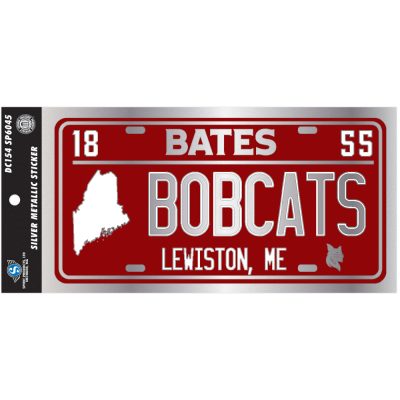 Silver Metallic Stickers - Medium