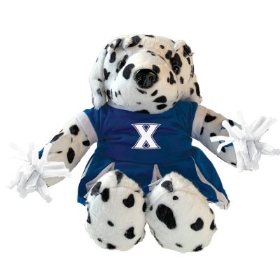 CC121_Dalmatian
