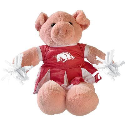 CC121_Pig