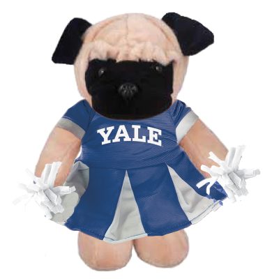 CC121_Pug