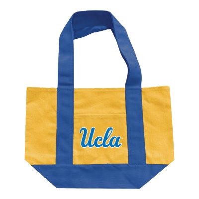 Mini Catalina Color Block Tote
